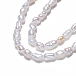 Seashell Color Natural Cultured Freshwater Pearl Beads Strands, Rice, Seashell Color, 2.5~4.5x1.5~2.5mm, Hole: 0.5mm, about 79~81pcs/strand, 13.78 inch(35cm)