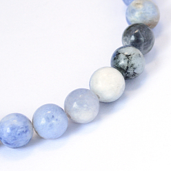 Sodalite Sodalite naturelle rangées de perles rondes, 10~10.5mm, Trou: 1.2mm, Environ 36 pcs/chapelet, 15.5 pouce
