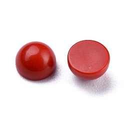 Synthetic Coral Synthetic Coral Cabochons, Half Round, 4x2~4mm