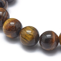 Tiger Eye Natural Tiger Eye Bead Stretch Bracelets, Round, 2 inch~2-3/8 inch(5~6cm), Bead: 5.8~6.8mm