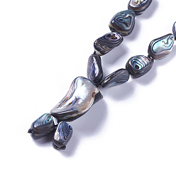 Shell Natural Abalone Shell/Paua ShellBeaded Necklaces, with Brass Lobster Claw Clasps, 21.06 inch(53.5cm)