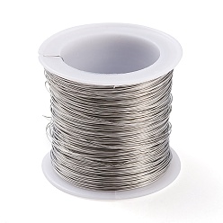 Stainless Steel Color 316 Surgical Stainless Steel Wire, for Jewelry Making, Stainless Steel Color, 26 Gauge, 0.4mm, about 124.67 Feet(38m)/roll