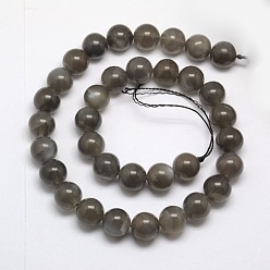 Black Moonstone Natural Black Moonstone Beads Strands, Round, 10mm, Hole: 1mm, about 39pcs/strand, 15.7 inch