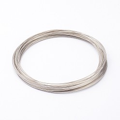 Platinum Carbon Steel Memory Wire, for Collar Necklace Making, Necklace Wire, Platinum, 18 Gauge, 1mm, about 400 circles/1000g