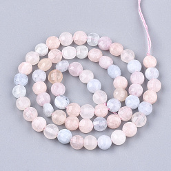 Morganite Chapelets de perles morganite naturelles  , facette, plat rond, 6~6.5x4~5mm, Trou: 1mm, Environ 61~67 pcs/chapelet, 14.9 pouces ~ 15.1 pouces