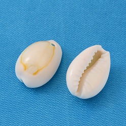 Coquillage De Mer Pendentifs coquille de cauris naturel, charmes de coquillages ovales, couleur de coquillage, 10~19x7~12x5~10mm, Trou: 1~2mm