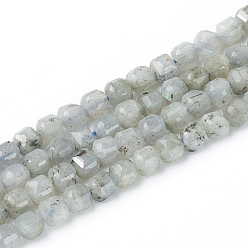 Labradorite Natural Labradorite Beads Strands, Faceted, Cube, 6~6.5x6~6.5x6.5mm, Hole: 1mm, about 62pcs/strand, 14.8 inch(37.6cm)