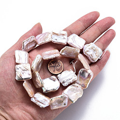 Льняное Полотно Природные Кеши жемчуг пряди, культивированный пресноводный жемчуг, прямоугольные, белье, 17~24x16~21x3~8 мм, отверстие : 0.6 мм, около 19~20 шт / нитка, 15.75~16.14 дюйм (40~41 см)