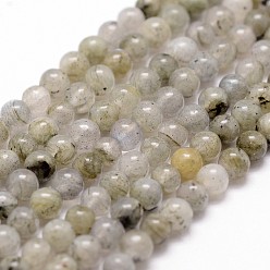 Labradorite Labradorite naturelle rangées de perles, ronde, 4mm, Trou: 1mm, Environ 96 pcs/chapelet, 14.9 pouces ~ 15.1 pouces