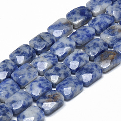 Jaspe Avec Point Bleu Brins de perles de jaspe de tache bleue naturelle, facette, rectangle, 11x8x5mm, Trou: 1mm, Environ 18 pcs/chapelet, 7.8 pouce