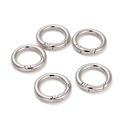 Platinum Alloy Spring Gate Rings, O Rings, Platinum, 6 Gauge, 24x4mm