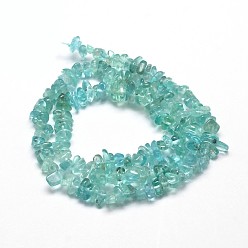 Apatite Natural Apatite Chip Beads Strands, 5~14x4~10mm, Hole: 1mm, about 15.5 inch~16.1 inch