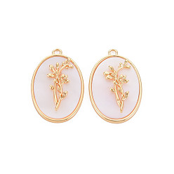 December Holly Brass Birth Floral Pendants, Oval with Flower Mother of Pearl White Shell Charms, Nickel Free, Real 18K Gold Plated, December Holly, 27x18x4mm, Hole: 1.8mm