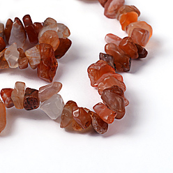 Carnelian Natural Carnelian Chips Beads Strands, Dyed, 5~8mm, Hole: 0.3mm, 32~34 inch