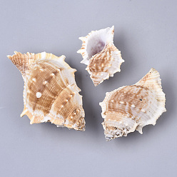 Blanc Antique Perles de coquillage naturel, perles non percées / sans trou, blanc antique, 58.5~99x42~64.5x31~48mm