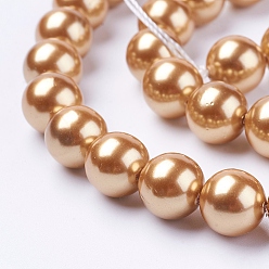 Chocolate Shell Pearl Beads Strands, Round, Chocolate, 10mm, Hole: 1mm, about 38pcs/strand, 15.7 inch