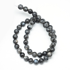 Larvikite Brins de perles de larvikite naturelles, ronde, 12~13mm, Trou: 1mm, Environ 32 pcs/chapelet, 15.7 pouce
