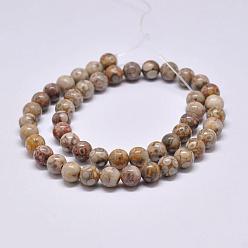 Maifanite Natural Maifanite/Maifan Stone Beads Strands, Round, 10mm, Hole: 1mm, about 38pcs/strand, 15.1 inch