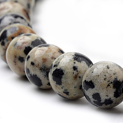 Dalmatian Jasper Natural Dalmatian Jasper Beads Strands, Round, 10mm, Hole: 1mm, about 38pcs/strand, 15.7 inch