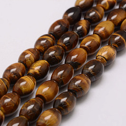 Tiger Eye Natural & Tiger Eye Bead Strands, Grade AB, Oval, 8~8.5x12.5~13mm, Hole: 1mm, about 32pcs/strand, 15.74 inch