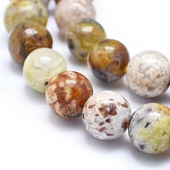 Opale Jaune Jaunes naturelles perles d'opale brins, ronde, 10mm, Trou: 0.8mm, Environ 40 pcs/chapelet, 15.7 pouce (40 cm)