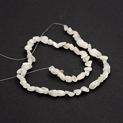 White Moonstone Natural White Moonstone Bead Strands, Nuggets, 5~19x4~9x3~9mm, Hole: 0.5~1mm, about 15.7 inch