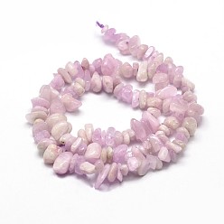 Kunzite Kunzite naturelle perles de puce brins, perles de spodumène, 5~14x4~10mm, Trou: 1mm, environ 15.5 pouces ~ 16.1 pouces