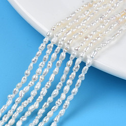 Seashell Color Natural Cultured Freshwater Pearl Beads Strands, Rice, Seashell Color, 2.5~4.5x1.5~2.5mm, Hole: 0.5mm, about 79~81pcs/strand, 13.78 inch(35cm)