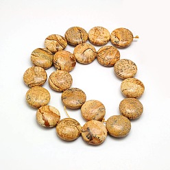 Picture Jasper Natural Flat Round Picture Jasper Beads Strands, 20x7~9mm, Hole: 1mm, about 20pcs/strand, 15.74 inch