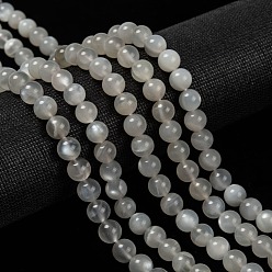 White Moonstone Naturelles perles pierre de lune blanc brins, ronde, 8mm, Trou: 1mm, Environ 50 pcs/chapelet, 15.7 pouce (40 cm)
