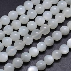 White Moonstone Натуральные белые круглые бусины из лунного камня, класс АА, 10 мм, отверстие : 1 мм, около 40 шт / нитка, 15.5 дюйм