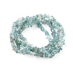 Apatite Natural Apatite Beads Strands, Chip, 5~13x3~8mm, Hole: 0.6mm, 33~33.4 inch(84~85cm)