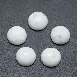 Говлит Природные кабошонов Говлит, полукруглый, 4x2~4 мм