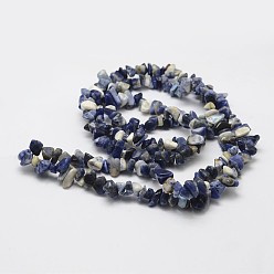 Blue Natural Sodalite Beads Strands, chip, Blue, 3~5x7~13x2~4mm, Hole: 0.4mm, 31.5 inch