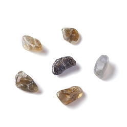Labradorite Natural Labradorite Chip Beads, No Hole/Undrilled, 2~12x2~10x1~3mm, about 11200pcs/1000g