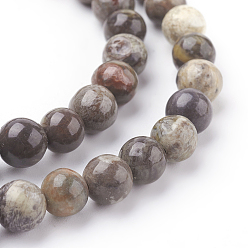 Ocean Jasper Natural Gemstone Beads Strands, Ocean Jasper, Dyed, Round, Brown, 6mm, Hole: 1mm, 15.7 inch, about 60pcs/strand