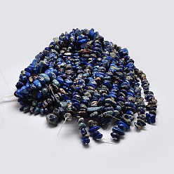 Синий Натуральные имперские нитки из бисера яшмы, самородки, окрашенные, синие, 8~16x4~10 мм, отверстие : 1 мм, о 15.7 дюйме