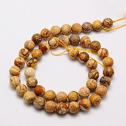 Picture Jasper Natural Picture Jasper Beads Strands, Faceted, Round, 6mm, Hole: 1mm, about 60pcs/strand, 15.55 inch