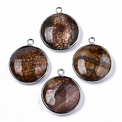 Camel Natural Fire Agate Pendants, with Platinum Plated Brass Findings, Dyed & Heated, Flat Round, Camel, 27~28x23~24x7~9.5mm, Hole: 2mm