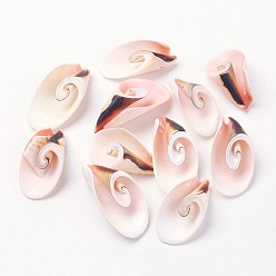 Seashell Color Natural Freshwater Shell Beads, Seashell Color, 30~45x15~25x10~15mm, Hole: 1mm, about 111pcs/500g