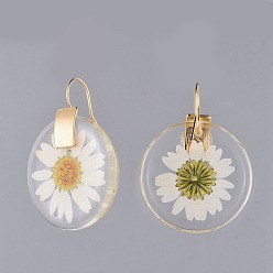 Golden Alloy Resin Dangle Earrings, with Dried Flower and Brass Hoop Earrings, Flat Round, Golden, 43.5x32x5mm, Pin: 0.7mm