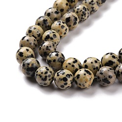Jaspe Dalmate Naturelles dalmate jaspe perles brins, ronde, 10~10.5mm, Trou: 1.2mm, Environ 36 pcs/chapelet, 15.5 pouce