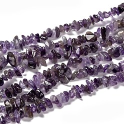 Amethyst Natural Amethyst Beads Strands, Chips, 5~9x5~9mm, Hole: 1mm