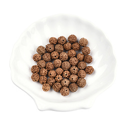 Sienna Undyed Natural Rudraksha Beads, Round, Sienna, 8~9.5x7~9.5mm, Hole: 1.2mm