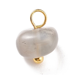 Pierre Mélangete Charms en pierres naturelles mixtes, avec boucles en laiton doré, puce, 8~10x7~8x7~7.5mm, Trou: 2~3.5mm