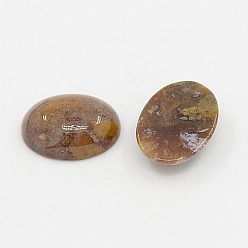 Couleur Mélangete Ovale naturel cabochons de pierres précieuses mélange, couleurs assorties, agate indienne, environ 12 mm de large, Longueur 16mm, épaisseur de 5mm