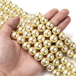 Pale Goldenrod Eco-Friendly Dyed Glass Pearl Round Beads Strands, Grade A, Cotton Cord Threaded, Pale Goldenrod, 14mm, Hole: 0.7~1.1mm, about 30pcs/strand, 15 inch
