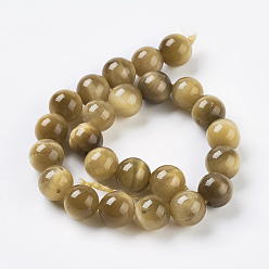 Tiger Eye Natural Gold Tiger Eye Beads Strands, Grade A, Round, 8mm, Hole: 1mm about 24pcs/strand, 8 inch