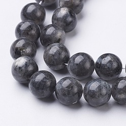 Larvikite Brins de perles de larvikite naturelles, ronde, environ 10 mm, Trou: 1mm, Environ 40 pcs/chapelet, 15.5 pouce