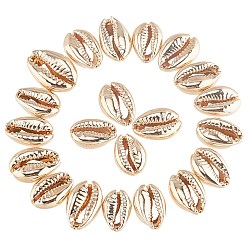 Light Gold Perles de coquille galvanisées, cauris, or et de lumière, 15~20x10~12x5~6mm, Trou: 12~14x2~3mm